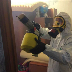 Уничтожение клопов в квартире. Мга